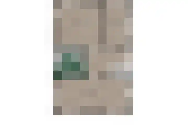 Buitensingel 79 Sappemeer thumbnail 64