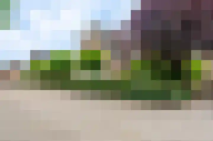 Buitensingel 83 Sappemeer thumbnail 10