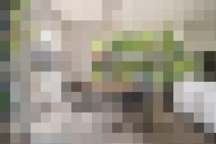 Buitensingel 83 Sappemeer thumbnail 18