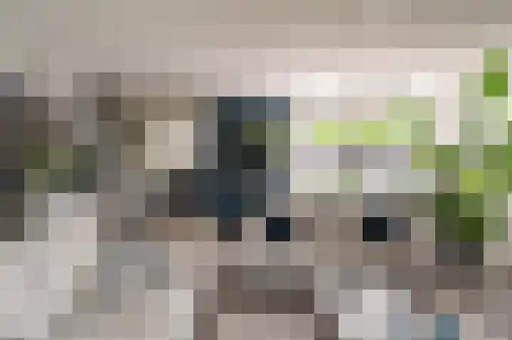 Buitensingel 83 Sappemeer thumbnail 23