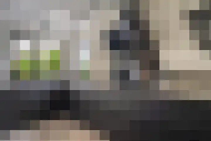 Buitensingel 83 Sappemeer thumbnail 31
