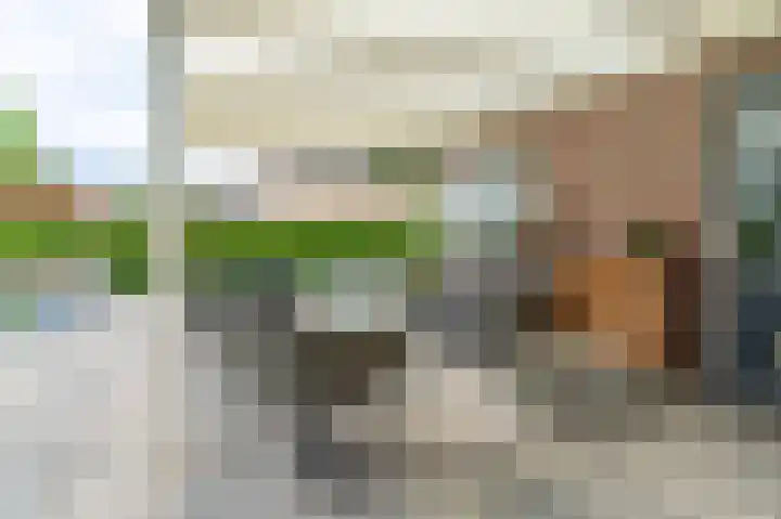 Buitensingel 83 Sappemeer thumbnail 37