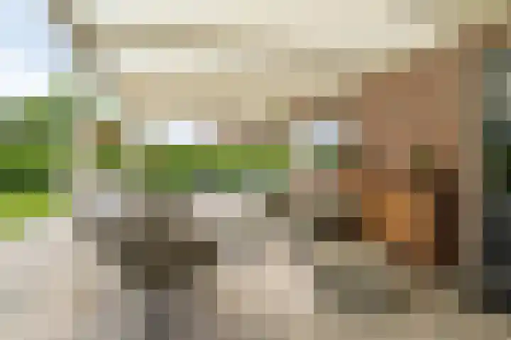 Buitensingel 83 Sappemeer thumbnail 38