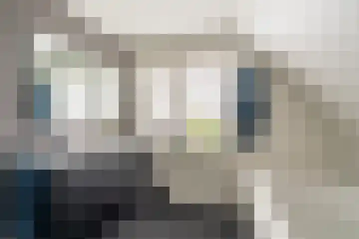 Buitensingel 83 Sappemeer thumbnail 4
