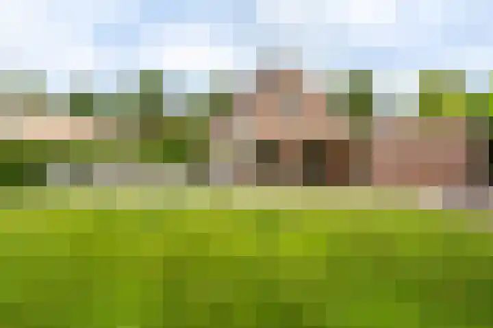 Buitensingel 83 Sappemeer thumbnail 42