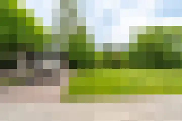 Buitensingel 83 Sappemeer thumbnail 46
