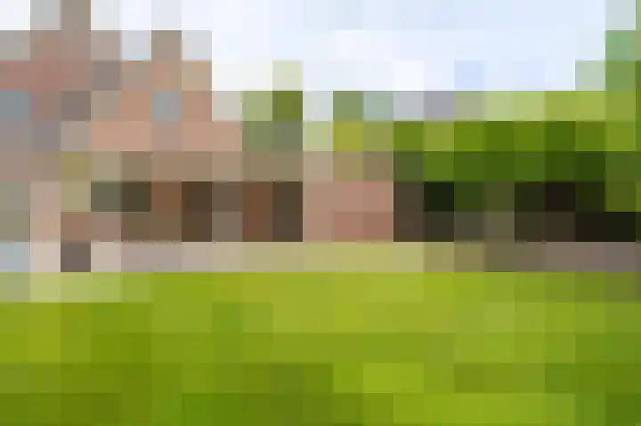 Buitensingel 83 Sappemeer thumbnail 47