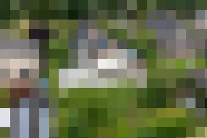 Buitensingel 83 Sappemeer thumbnail 51