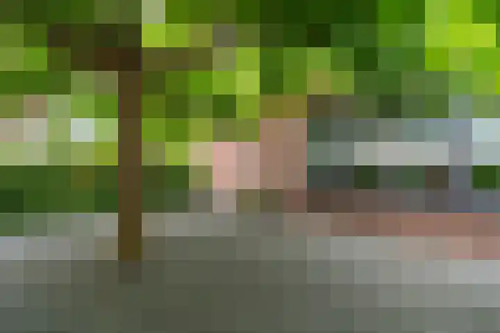Buitensingel 83 Sappemeer thumbnail 53