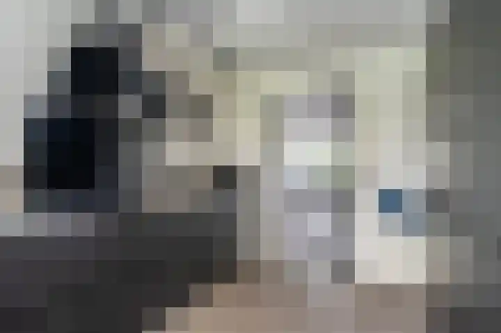 Buitensingel 83 Sappemeer thumbnail 54
