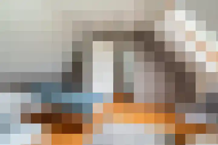 Buitensingel 83 Sappemeer thumbnail 68