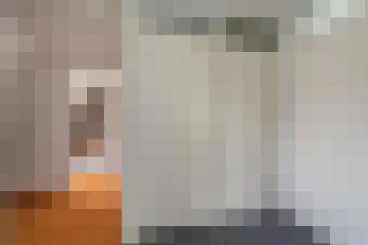 Buitensingel 83 Sappemeer thumbnail 70