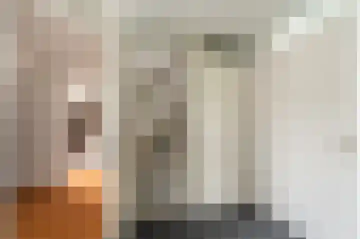 Buitensingel 83 Sappemeer thumbnail 71