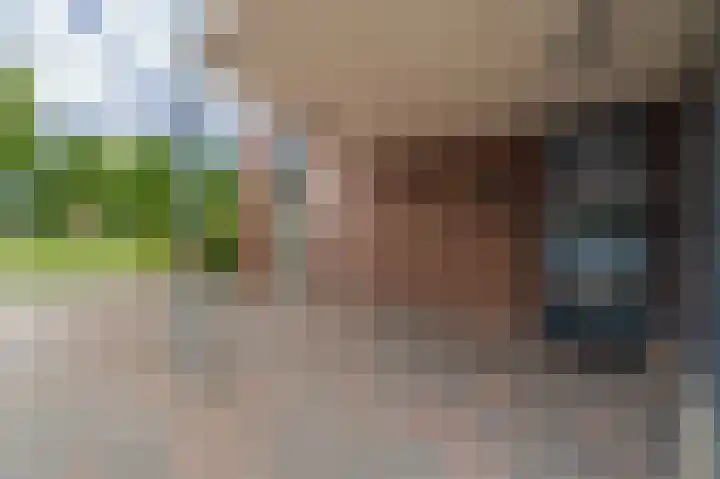 Buitensingel 84 Sappemeer thumbnail 11