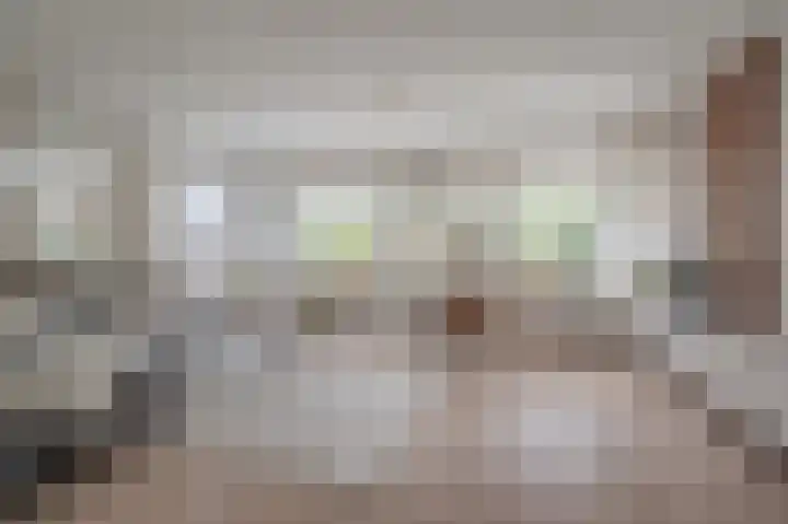 Buitensingel 84 Sappemeer thumbnail 15