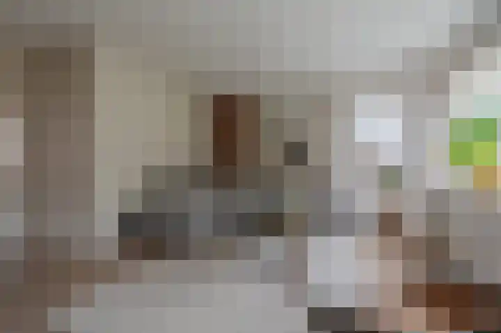 Buitensingel 84 Sappemeer thumbnail 17