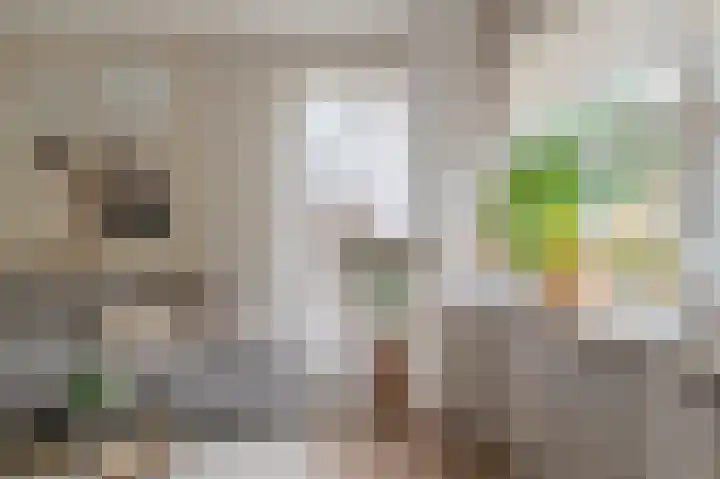 Buitensingel 84 Sappemeer thumbnail 19