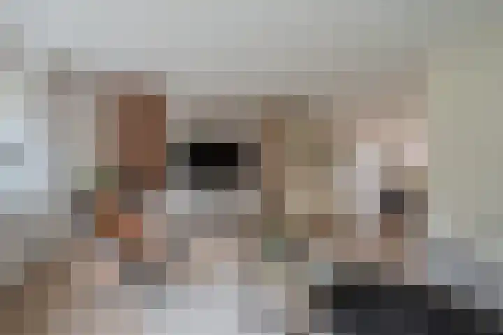 Buitensingel 84 Sappemeer thumbnail 21