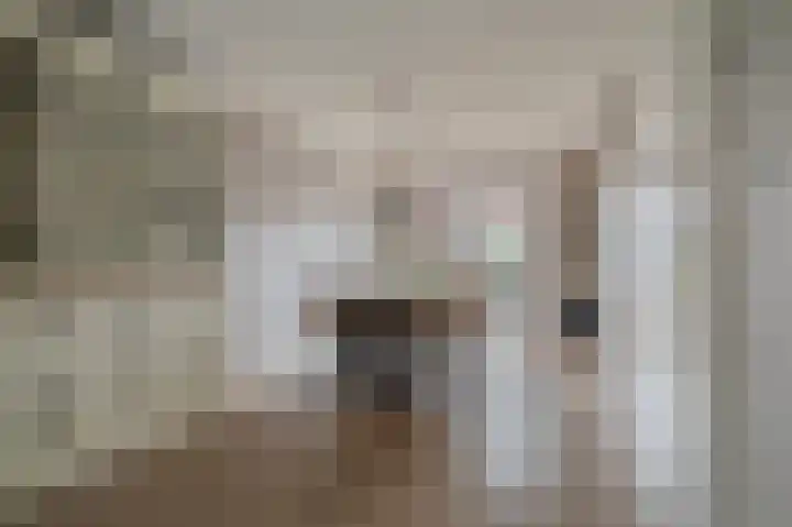 Buitensingel 84 Sappemeer thumbnail 23