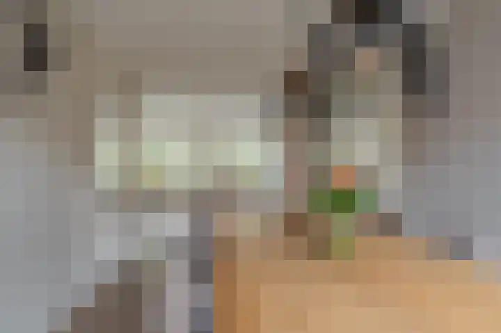Buitensingel 84 Sappemeer thumbnail 24