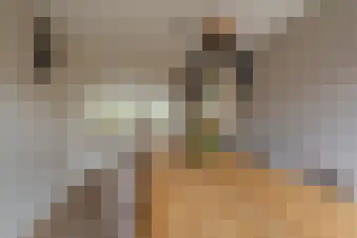 Buitensingel 84 Sappemeer thumbnail 25