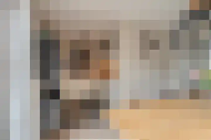 Buitensingel 84 Sappemeer thumbnail 26