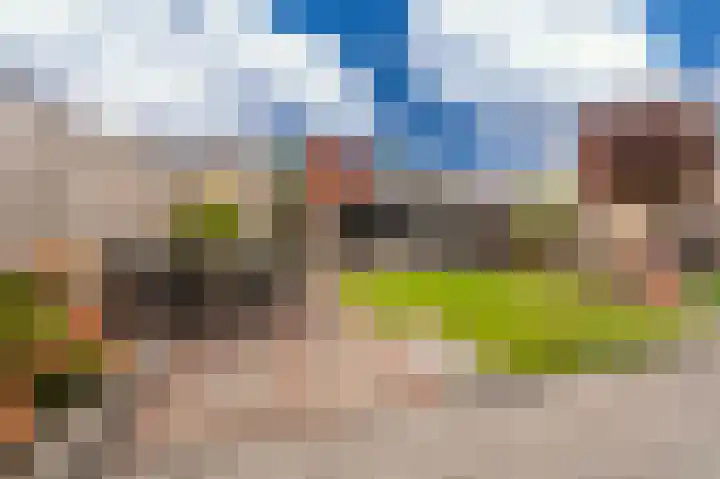 Buitensingel 84 Sappemeer thumbnail 32