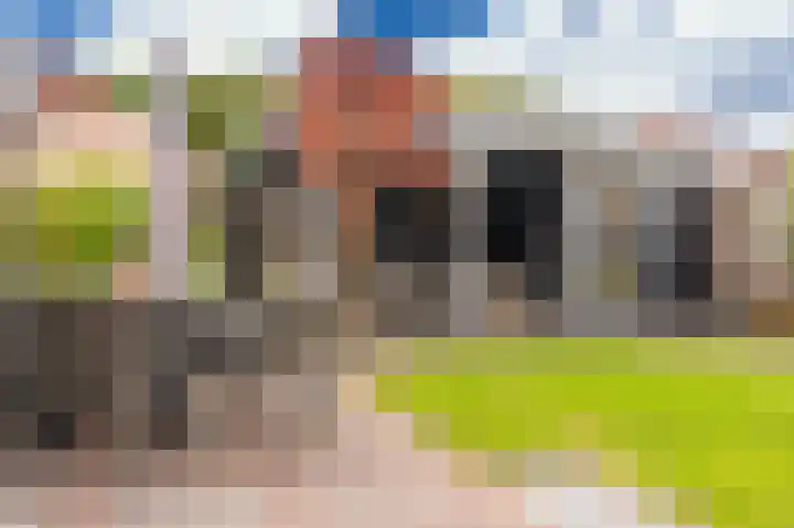Buitensingel 84 Sappemeer thumbnail 33