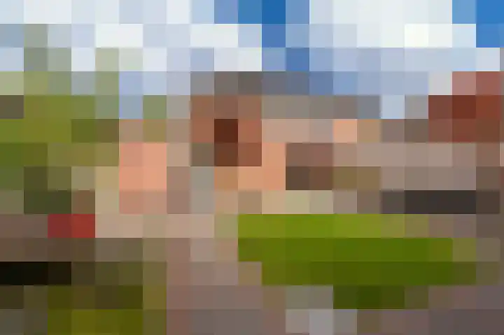 Buitensingel 84 Sappemeer thumbnail 36
