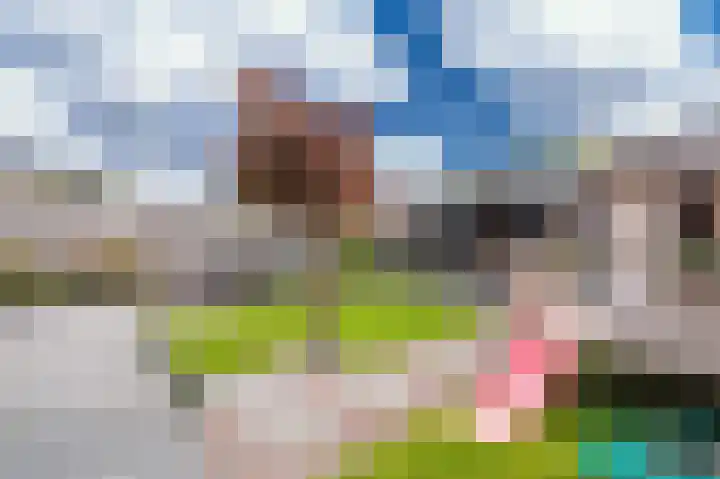 Buitensingel 84 Sappemeer thumbnail 38