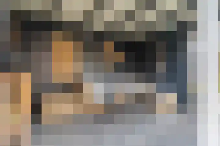 Buitensingel 84 Sappemeer thumbnail 40