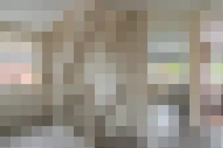 Buitensingel 84 Sappemeer thumbnail 46