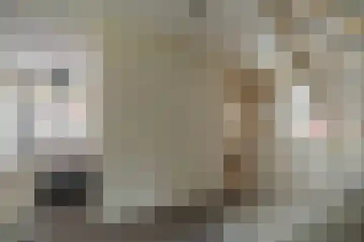 Buitensingel 84 Sappemeer thumbnail 47