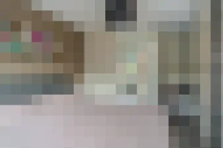 Buitensingel 84 Sappemeer thumbnail 49