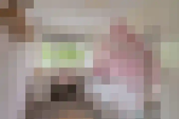 Buitensingel 84 Sappemeer thumbnail 50