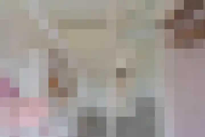 Buitensingel 84 Sappemeer thumbnail 51