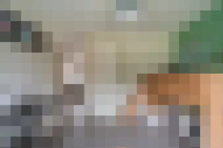 Buitensingel 84 Sappemeer thumbnail 52