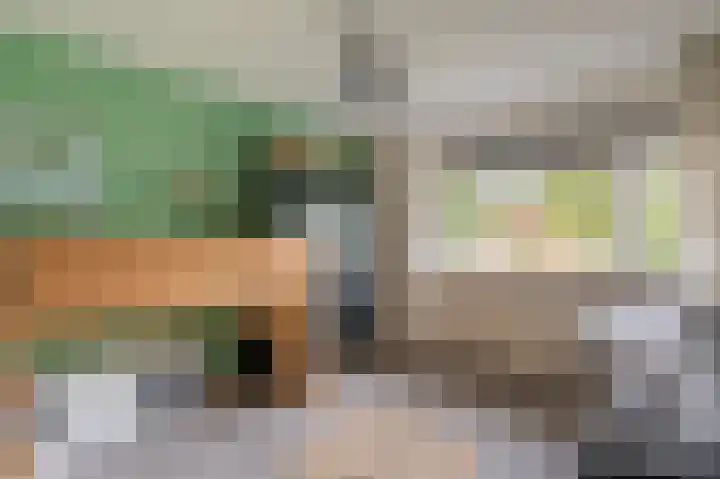 Buitensingel 84 Sappemeer thumbnail 53