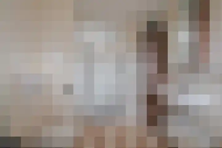 Buitensingel 84 Sappemeer thumbnail 54