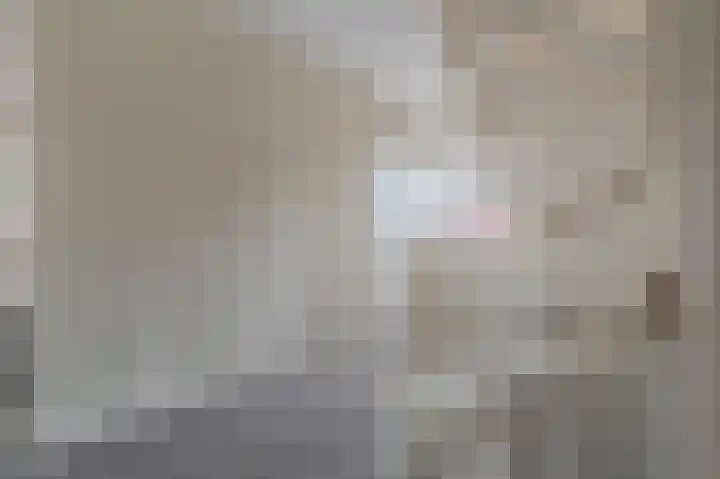 Buitensingel 84 Sappemeer thumbnail 57