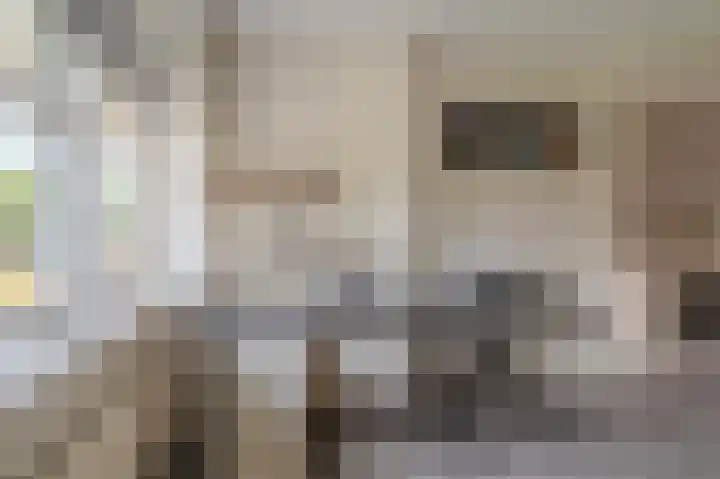 Buitensingel 84 Sappemeer thumbnail 59