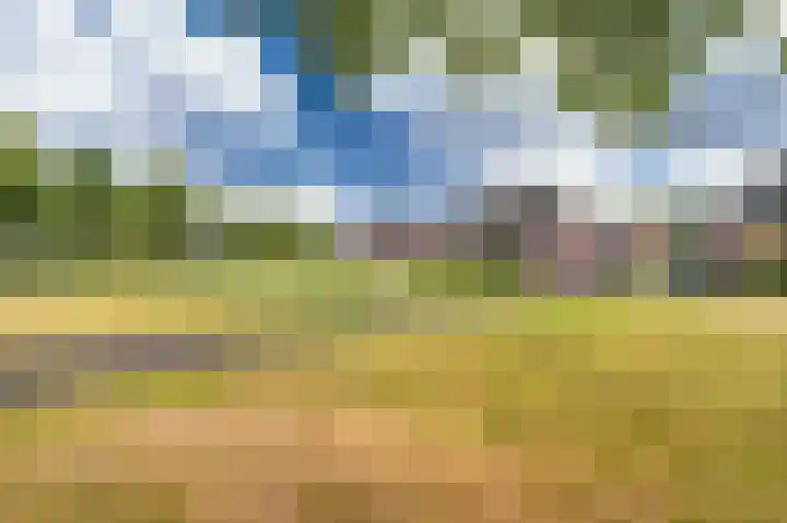 Buitensingel 84 Sappemeer thumbnail 6