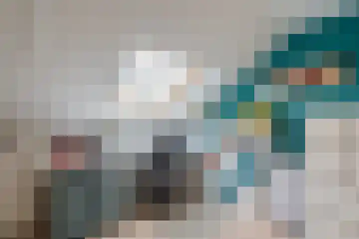 Buitensingel 84 Sappemeer thumbnail 60