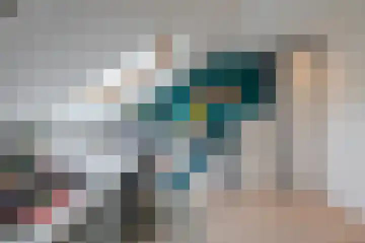 Buitensingel 84 Sappemeer thumbnail 61