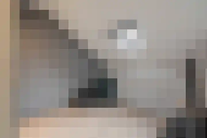 Buitensingel 84 Sappemeer thumbnail 63