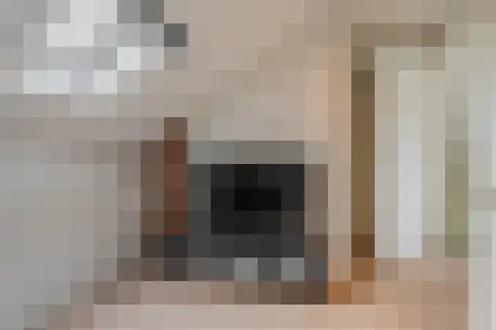 Buitensingel 84 Sappemeer thumbnail 64