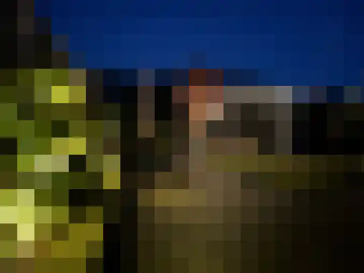 Buitensingel 84 Sappemeer thumbnail 67