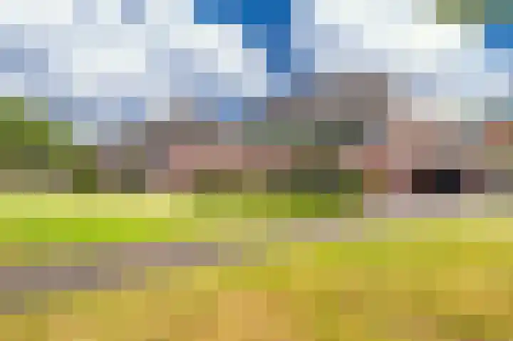 Buitensingel 84 Sappemeer thumbnail 7