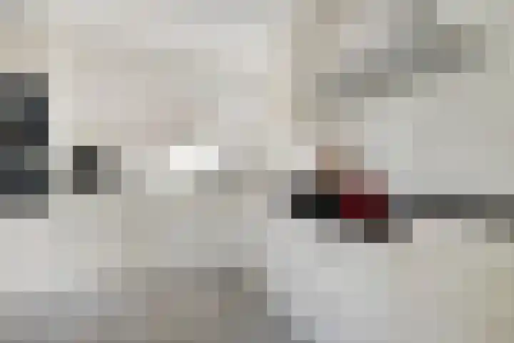 Buitensingel 91 Sappemeer thumbnail 11