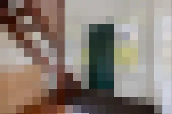 Buitensingel 91 Sappemeer thumbnail 13